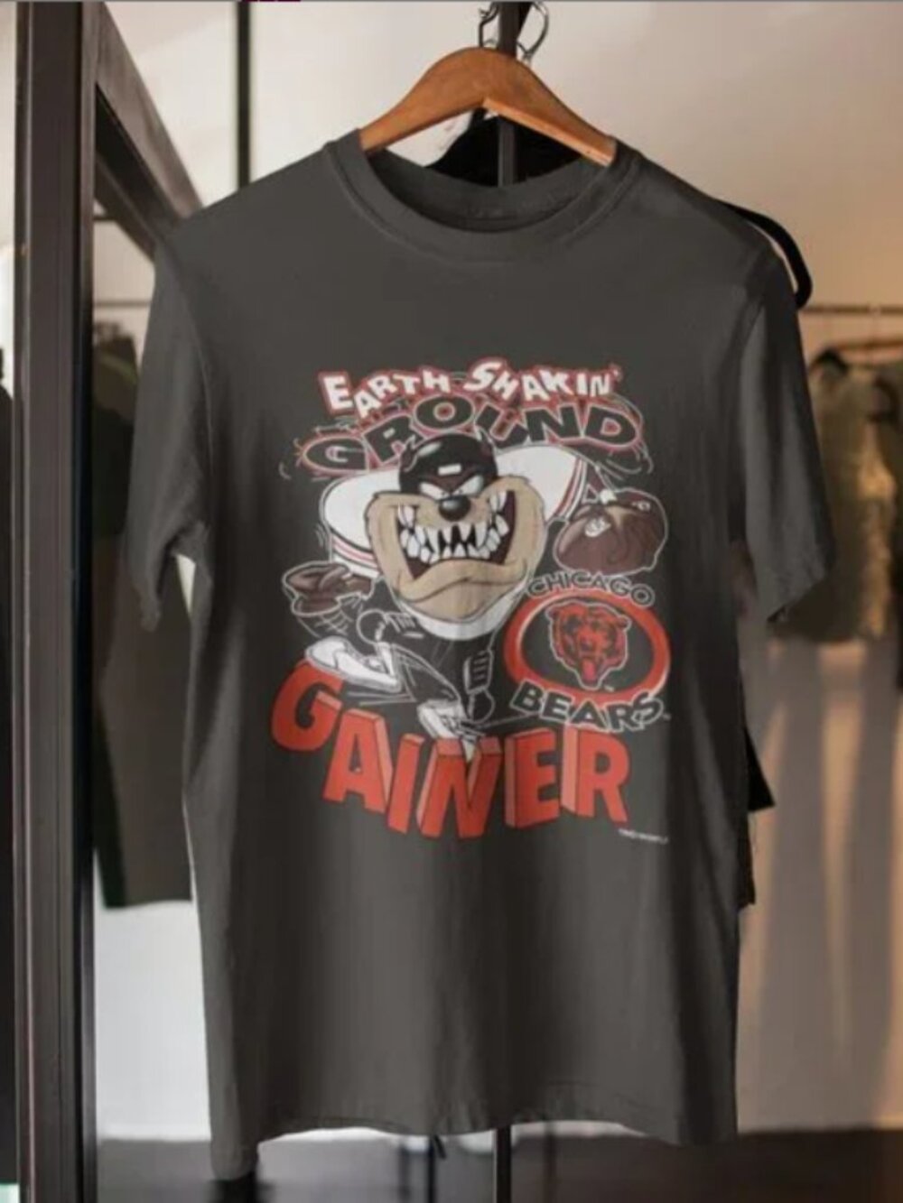 Vintage 90s NFL Chicago Bears Football Looney Tunes Tazmanian T Shirt